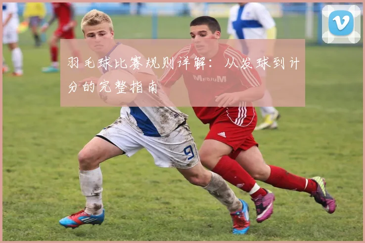 羽毛球比赛规则详解：从发球到计分的完整指南