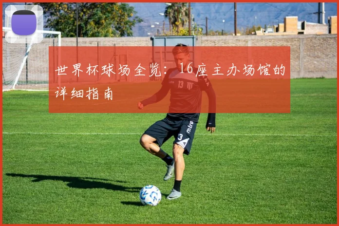 世界杯球场全览：16座主办场馆的详细指南