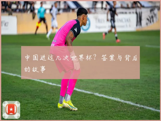 中国进过几次世界杯?答案与背后的故事