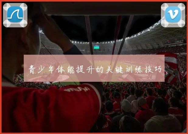 青少年体能提升的关键训练技巧